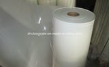 6021 Polyester Film Pet Film