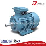 Ce Approved IEC Standard 3 Phase Asynchronous Induction Motor