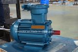 Ravuable Frequency Permanent Magnet Synchronous Motor