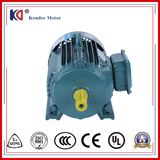 Three Phase AC Induction Motor (YX3 Series)
