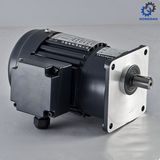 Vertical Brake AC Gear Motor with Aluminum_D
