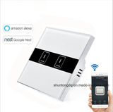 WiFi Smart Switches EU Type, Works with Echo Alexa/Google Home, 2 Gang Wireless WiFi Control Light Switch, Wall Touch Switch, APP Phone Remote Control