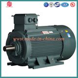 Electric Light Weight AC Induction Motor