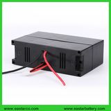 24V 10ah Sea E-Scooter Lithium Battery with Ce Certification