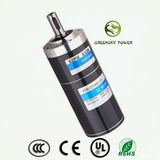 Micro Planetary Gear 24V 60W DC Brushless Motor