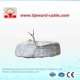 Solid 2 Core Copper Conductor Electrical Wire