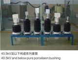 40.5kv C Type Transfomer Bushing (CONDUCTOR STRUCTURE)