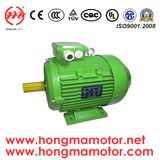 Ie3 Aluminum/Cast Iron Housing Three Phase Induction Motor