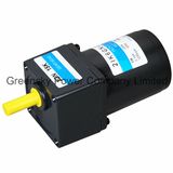 6W 60mm AC Induction Motor