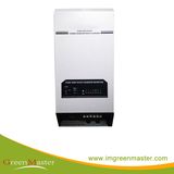 R-Psw4K-6kw Low Frequency Sine Wave Home UPS