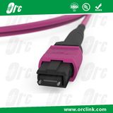 8f/12f/24f MPO/MTP Patchcord Jumper Optical Fiber Connector Om4 Ofnp Male 5 Meters