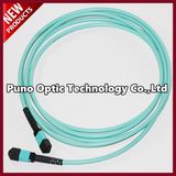 12 Cores MPO to MPO Female Pinless Fiber Optic Trunk Cable