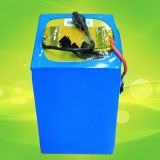 12V 24ah UPS Lithium Battery Pack with PCM and Charger