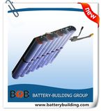 60V 2200mAh Battery Pack Self Blancing Unicycle