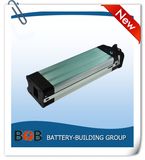 48V 10ah Silver Fish Type Lithium Battery Pack