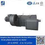 Frequency Variable 1500rpm 380V 35kw AC Motor