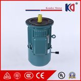 AC Embr Induction Motor with 380V 50Hz