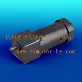 60W Output Shaft Diameter 15mm AC Brake Motor