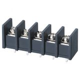 Wanjie PCB Barrier Terminal Block (WJ55C-10.0mm)
