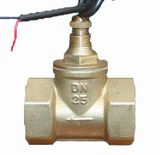 G2'' Copper Paddle Flow Switch