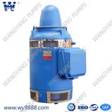 Two-Phase AC Asynchronous Squirrel-Cage Induction Electric Motor for Water Pump