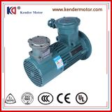 Speed Regulation Explosion Proof AC Asynchronous Motor