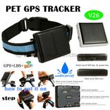 Long Standby Solar Powered Pet GPS Tracker with Waterproof V26