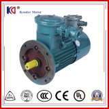 Yvbp Engine AC Electric Motor with Variable Frequency