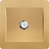 T126 1 Gang Satellite Socket