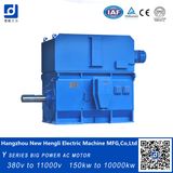 1500kw 6600V Big Power Three Phase AC Motor