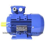 Three Phase Cast Iron Electric Motor 0.75kw-280kw