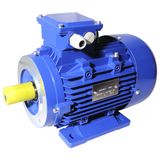 4 Pole Electric Aluminium Three Phase Induction Motor