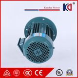 Mini-Sized AC Electric Motor with High Efficiency