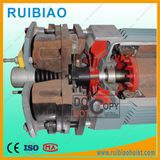 Construction Hoist Three Phase Asynchronous Motor