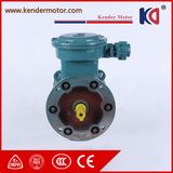 220V Yb3 Asynchronous Electric Ex-Proof Electric (Electrical) Motor for Crane