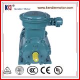 Face Mounted Motor AC Ex-Proof Electric Motor with Frequency Conversion