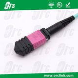 8f/12f/24f MPO/MTP Patchcord Jumper Optical Fiber Connector Om4 LSZH 5 Meters