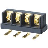 Wanjie PCB Barrier Terminal Block (EM-4-8.8mm)