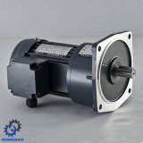 Vertical Small AC Electric Geared Motor with High Ratio_D