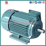 Ie2 Three Phase High Efficiency AC Motor