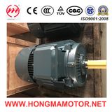 GOST Standard Three -Phase Asynchronous Motor with CE