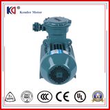 Electric Induction Motor with Aluminum Casing Housing (YX3 Series)