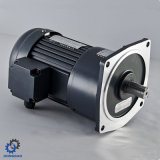 High Ratio Vertical Mounted Small Induction AC Motor_D