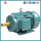 IEC Low Voltage High Efficiency Asynchronous AC Motor