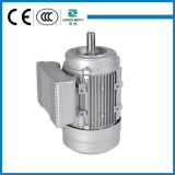 YL Series Single Phase AC Induction Electric Motor