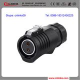 Top Quality Strip Connector 2-Pin Yp-20 Connector