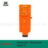 Temperature Controller for Boiler Water Pump