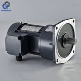 High Torque Low Speed 1: 160 Reduction Ratio AC Geared Motor_D