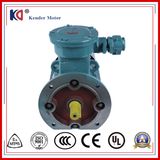 Ex-Proof AC Electrical Motor with High Efficiency