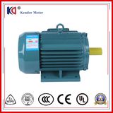 Cast Iron Three Phase AC Induction Electric Motor